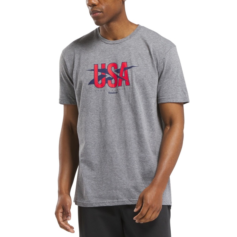 Reebok Mens Regular fit Short Sleeve Graphic T-Shirt Shirt Small Grey Solid