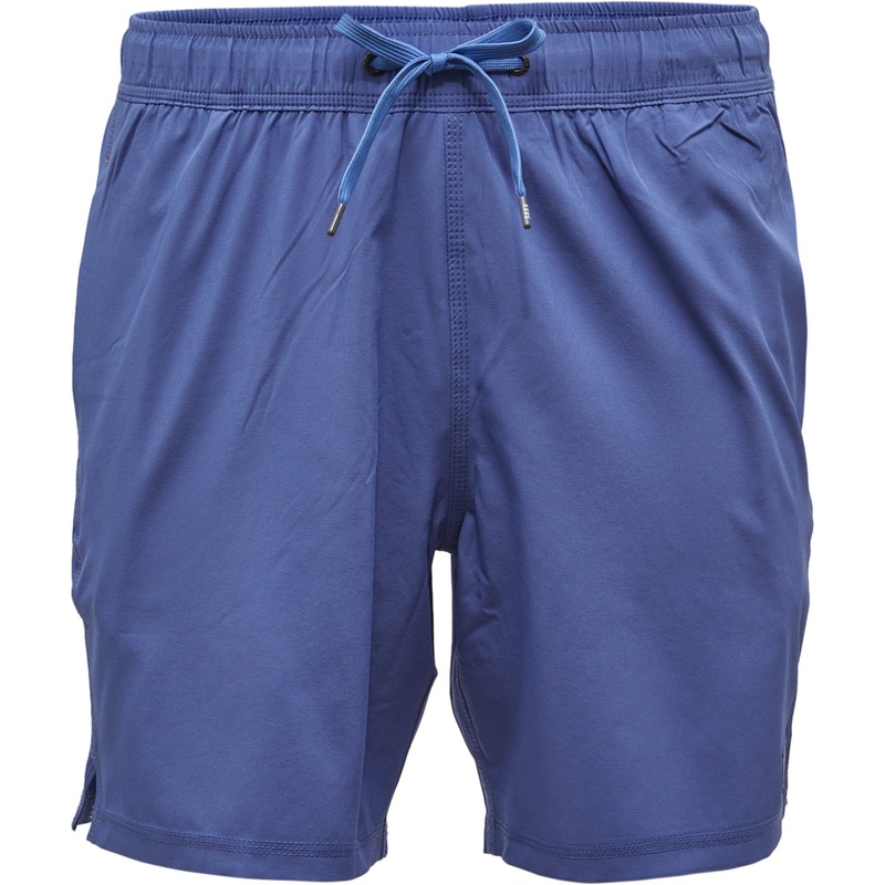Saxx Mens Regular fit Swim Trunks Swimwear Large / 7 Purple Solid