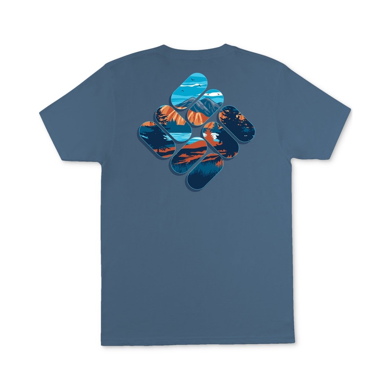 Columbia Men's Mountain Gem Graphic T Shirt Blue Large