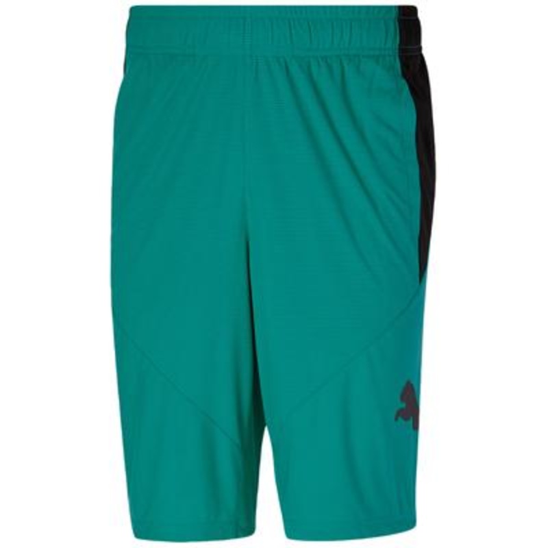 Puma Men's 10" Training Cat Shorts Aqua Black XL