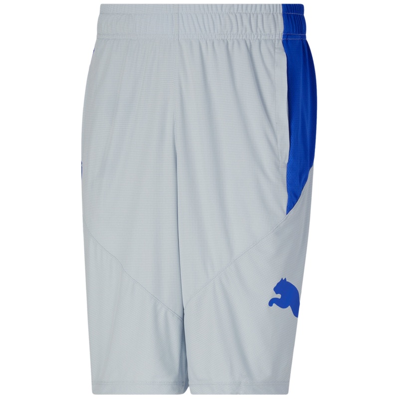 Puma Men's 10" Moisture Wicking Training Cat Shorts Grey XL